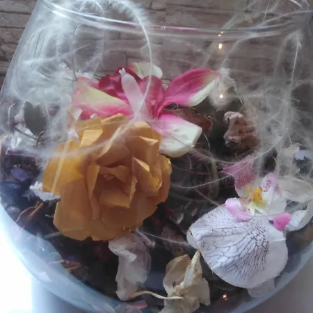 Luciana شقة زادار