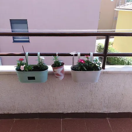 Apartamento Luciana Zadar