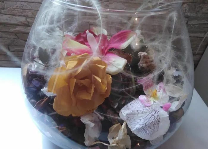 Luciana Apartment Zadar